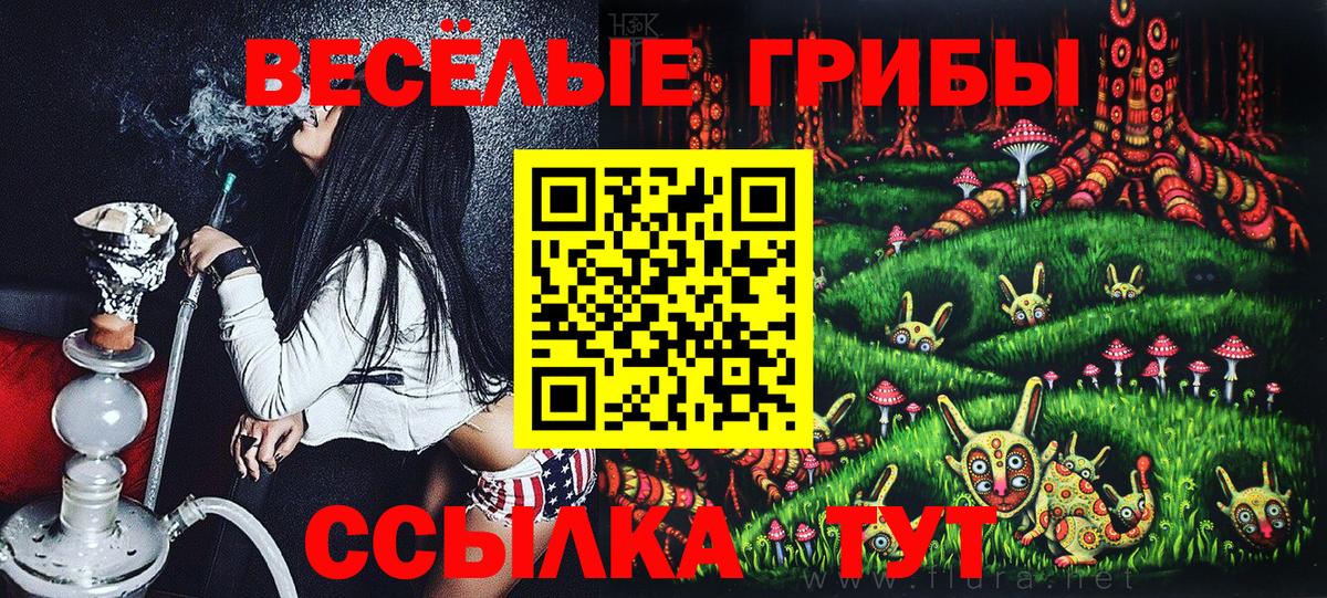 Псилоцибиновые грибы мицелий Верхний Уфалей
